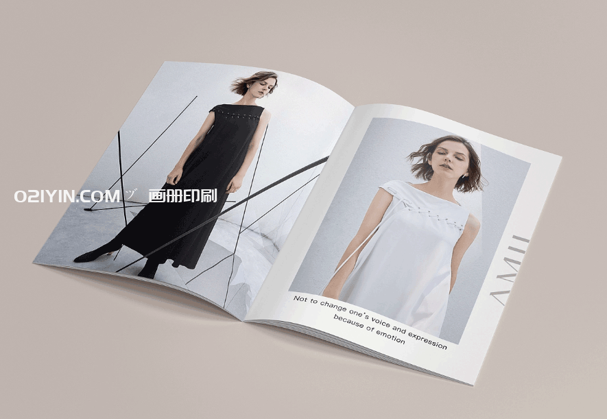 服裝畫冊印刷  第2張