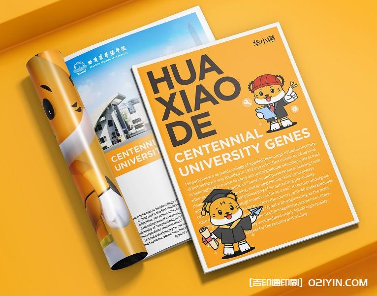 智能科技產(chǎn)品手冊(cè)設(shè)計(jì)印刷  第4張